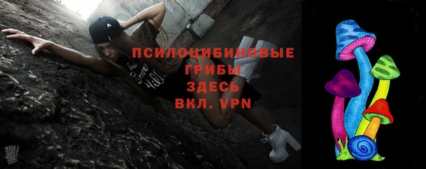 ECSTASY Абаза