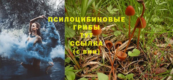 эйфоретик Абдулино