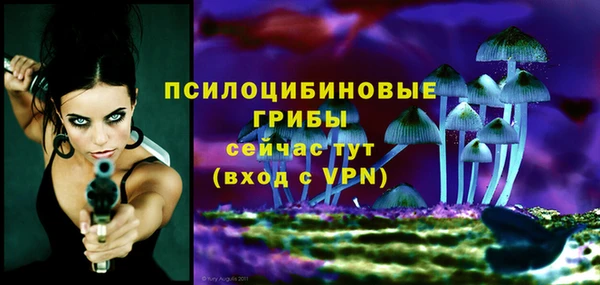 ECSTASY Абаза