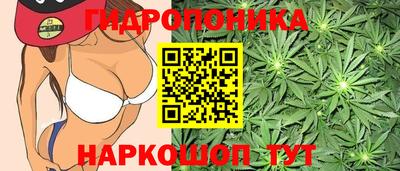 эйфоретик Кунгур