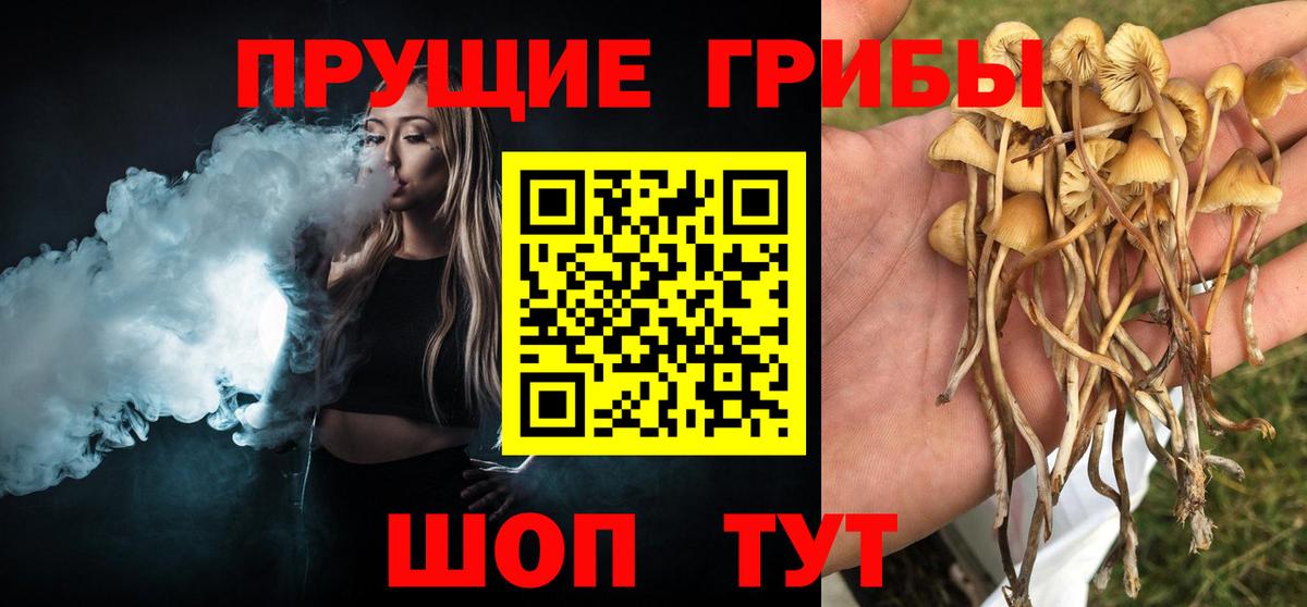 Аксай  Псилоцибиновые грибы мицелий  Вход с VPN 